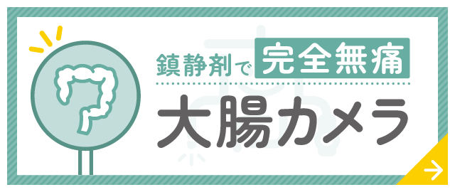 大腸カメラ